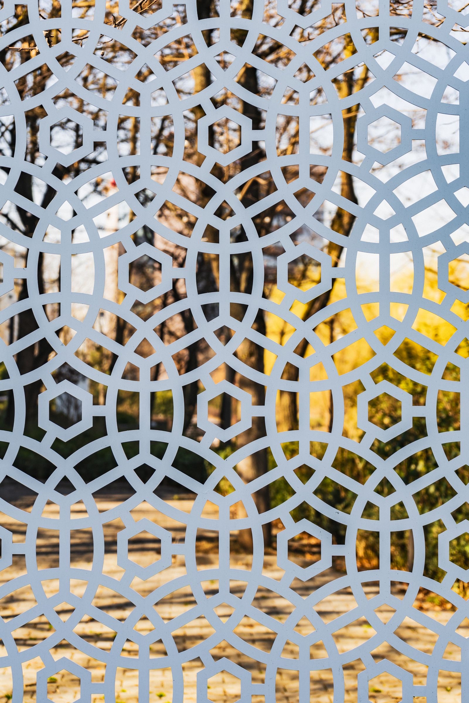 Close view of a pale grey laser-cut metal screen with a pattern of overlapping circles and small hexagons, with sunlit trees, autumn leaves and a paved path blurred behind it.