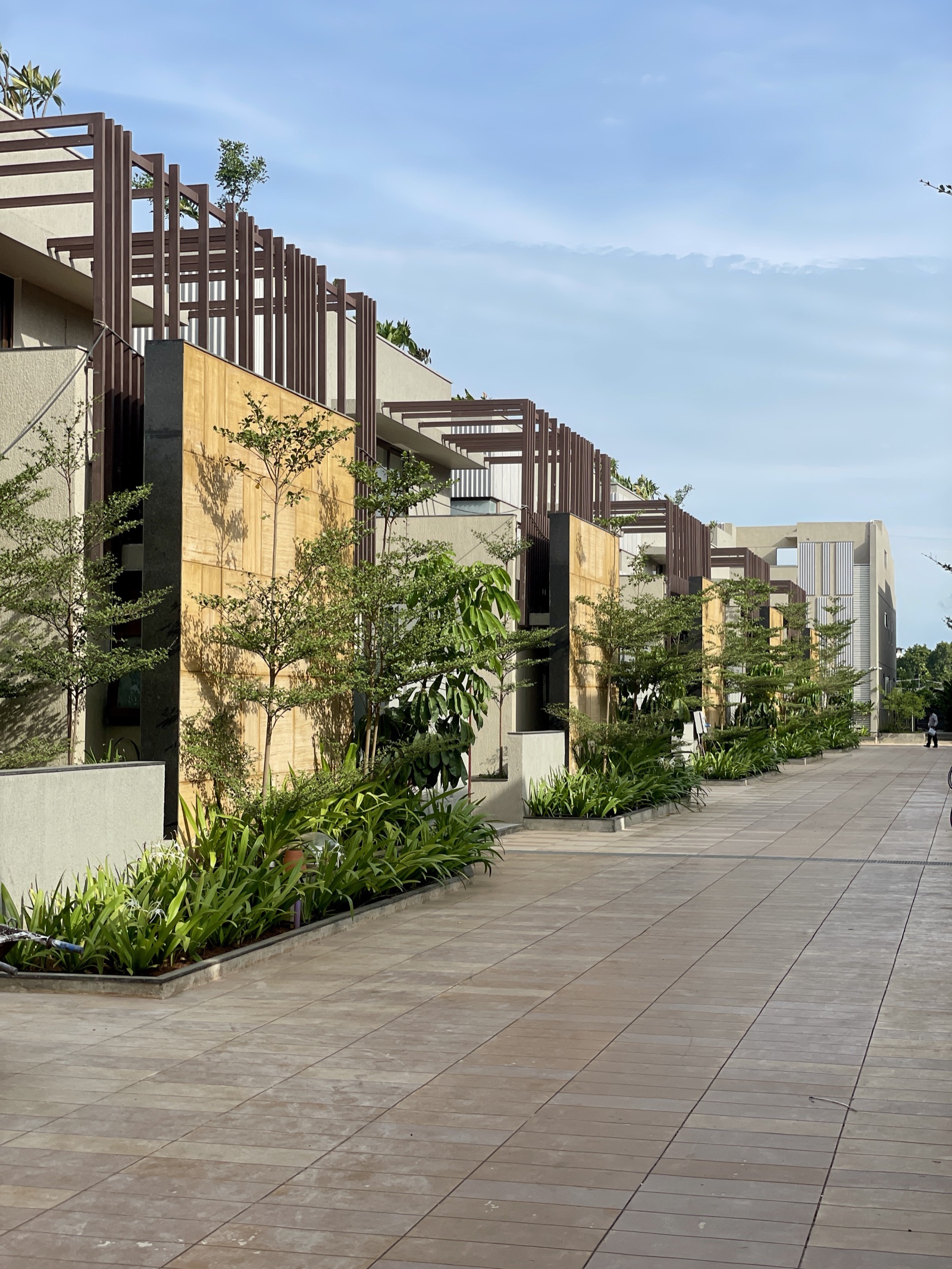 A paved pedestrian street between villas on a clear day. Garden walls clad in golden stone panels with dark stone edges stand in front of tall brown slatted screens and pergolas, with young trees and planting along the walk and pale plastered walls behind.