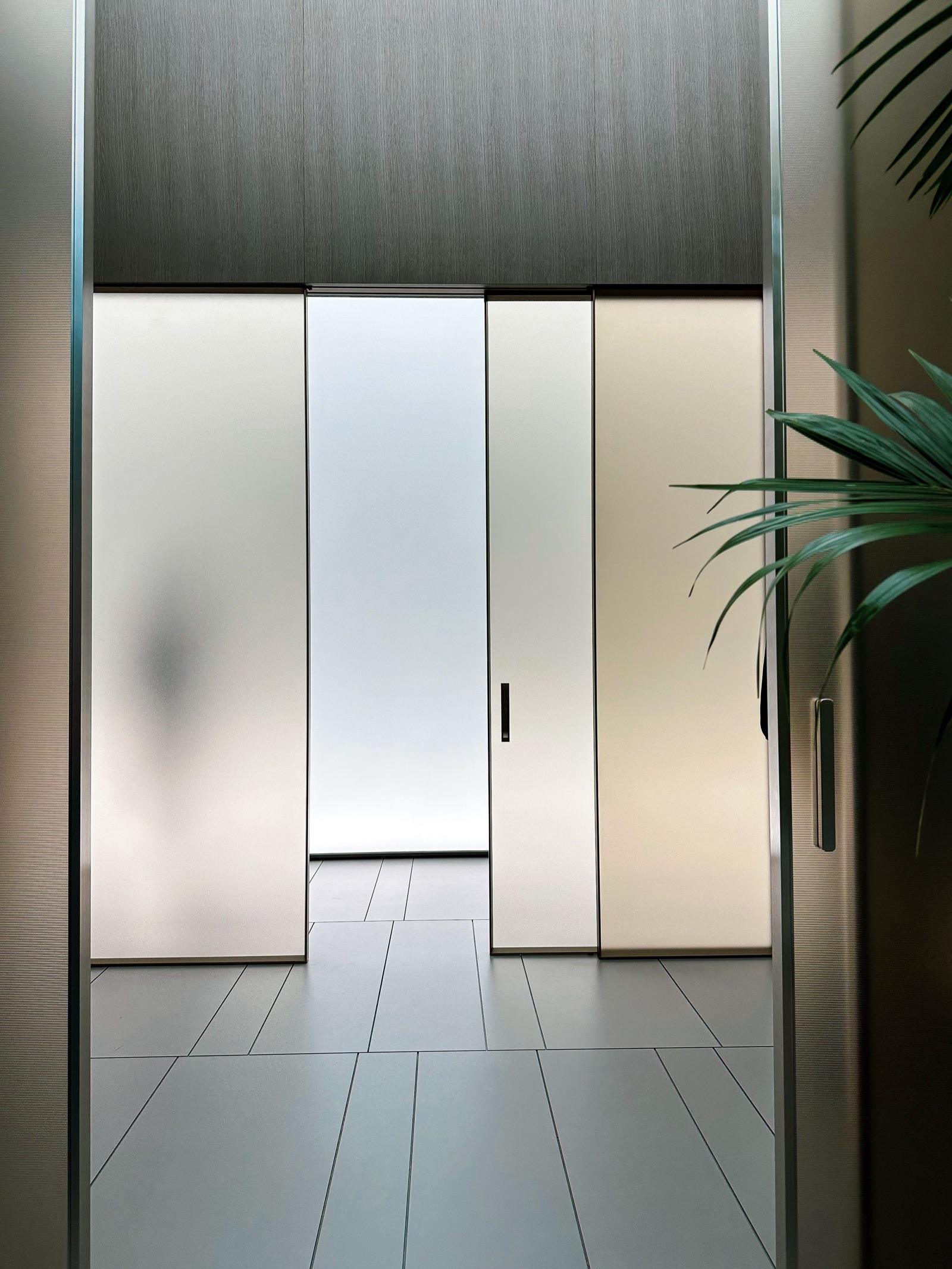 Floor-to-ceiling frosted glass sliding panels in thin metal frames with recessed pull handles, one panel slid aside to show a bright gap, under a dark wood-veneer panel, with a palm leaf in the foreground.