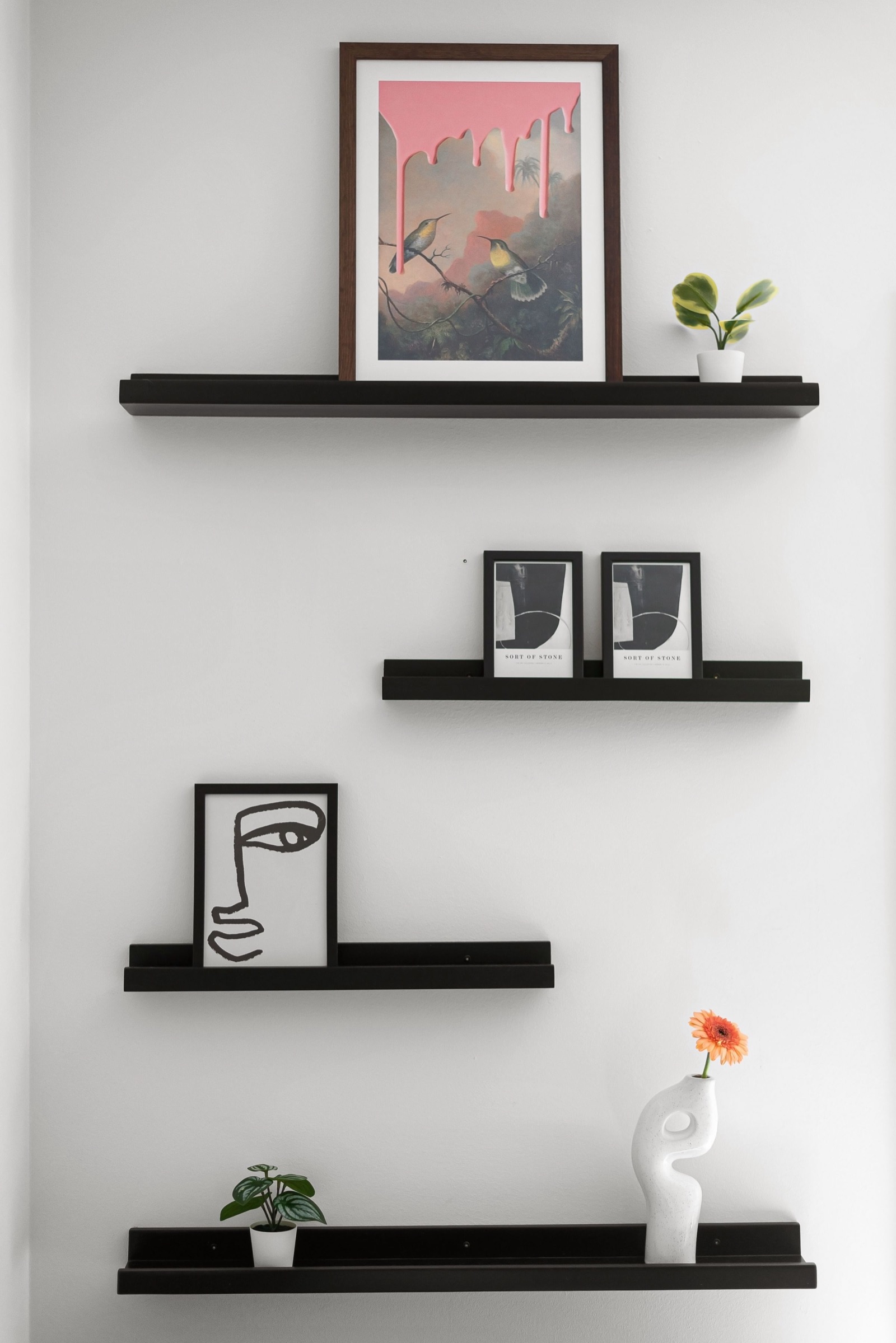 Four slim black picture ledges staggered on a plain white wall, holding a framed bird print, two small framed prints, a line-drawing print, small potted plants and a white sculptural vase with an orange flower