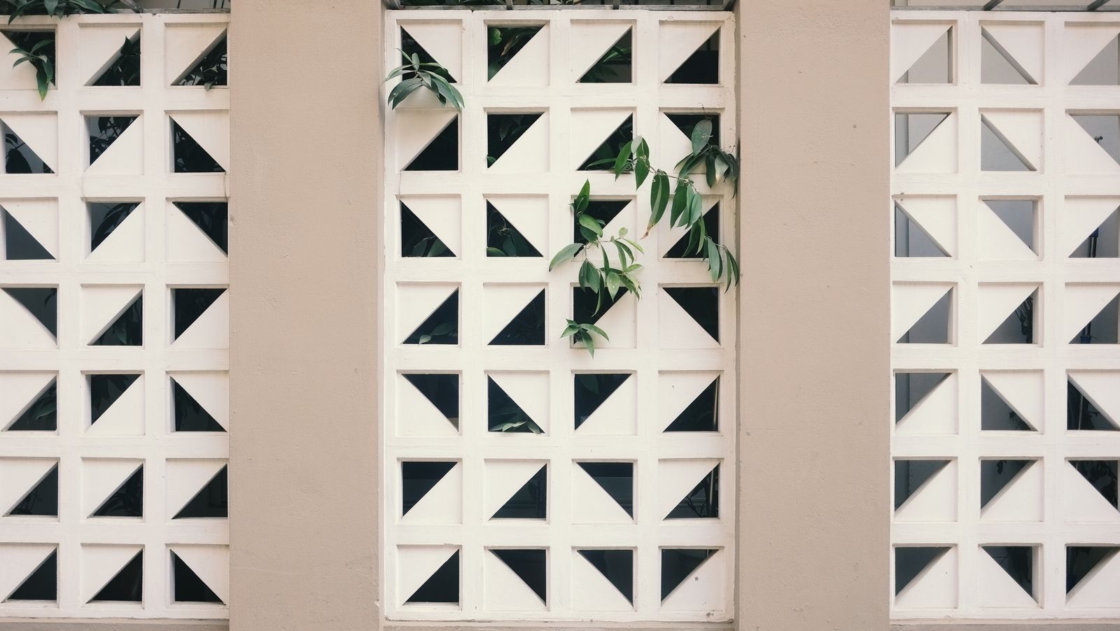 Three panels of white cement breeze blocks between beige pillars, each block a square with a triangular opening, with green leaves of a climbing plant growing through the openings of the middle panel.
