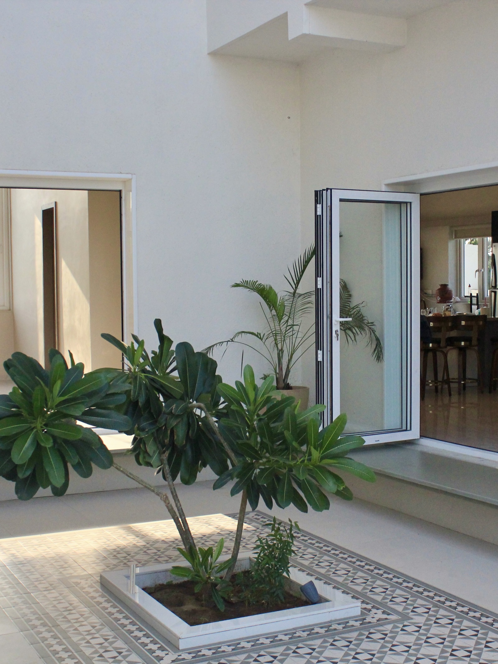 A sunlit courtyard in a farmhouse, with a frangipani tree in a white-edged planter set into a floor of grey and white geometric patterned tiles framed by a plain border, white walls and a folding glass door open to the dining area